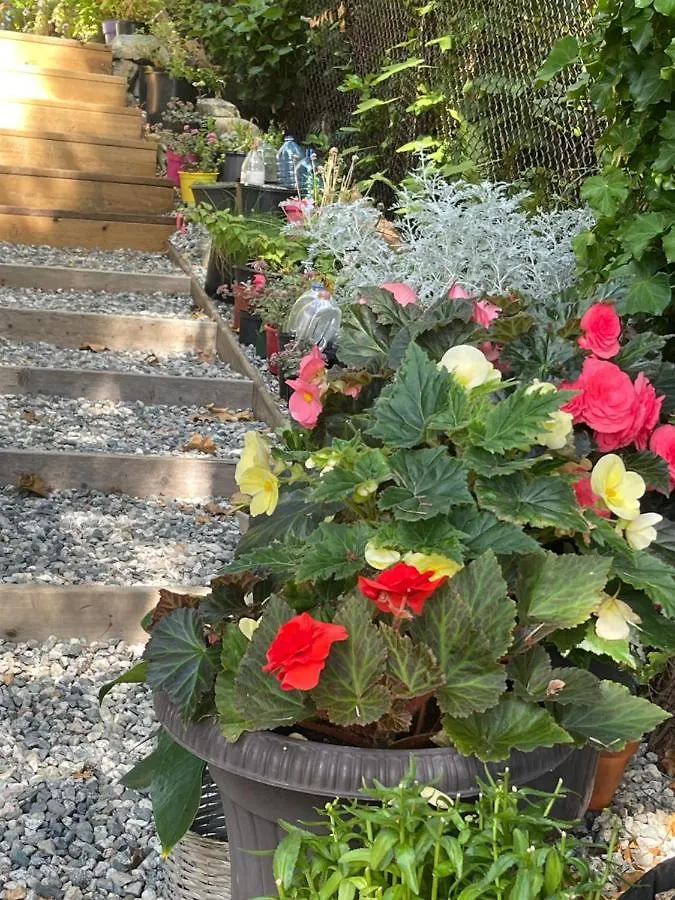 Garden Bridge House Villa Sechelt Holiday home
